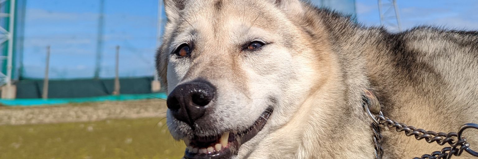 oksun73's profile banner image