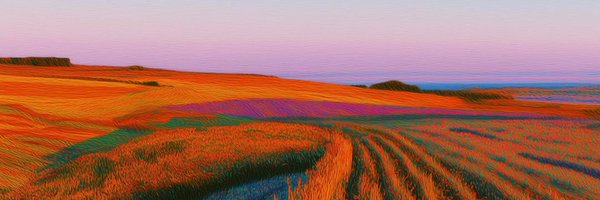 LocalPayAsia Profile Banner