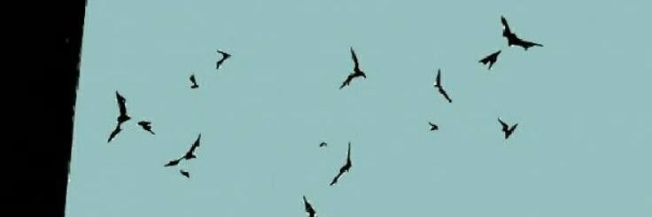 Sam_hears_all's banner