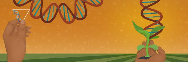 Spearhead_Bio Profile Banner