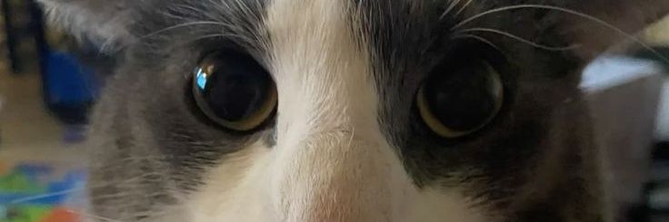 harvgi's profile banner image