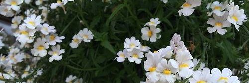 BeccaMarie182's profile banner image