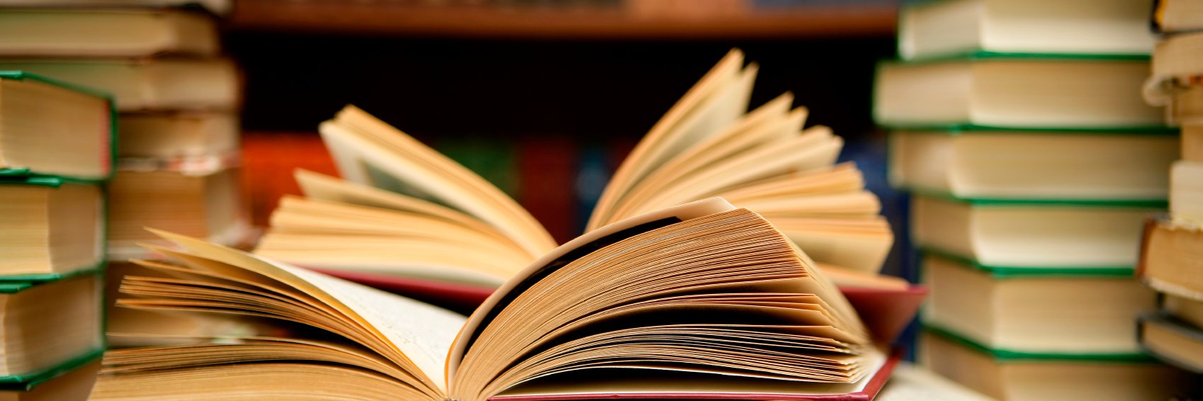 Marist Library banner