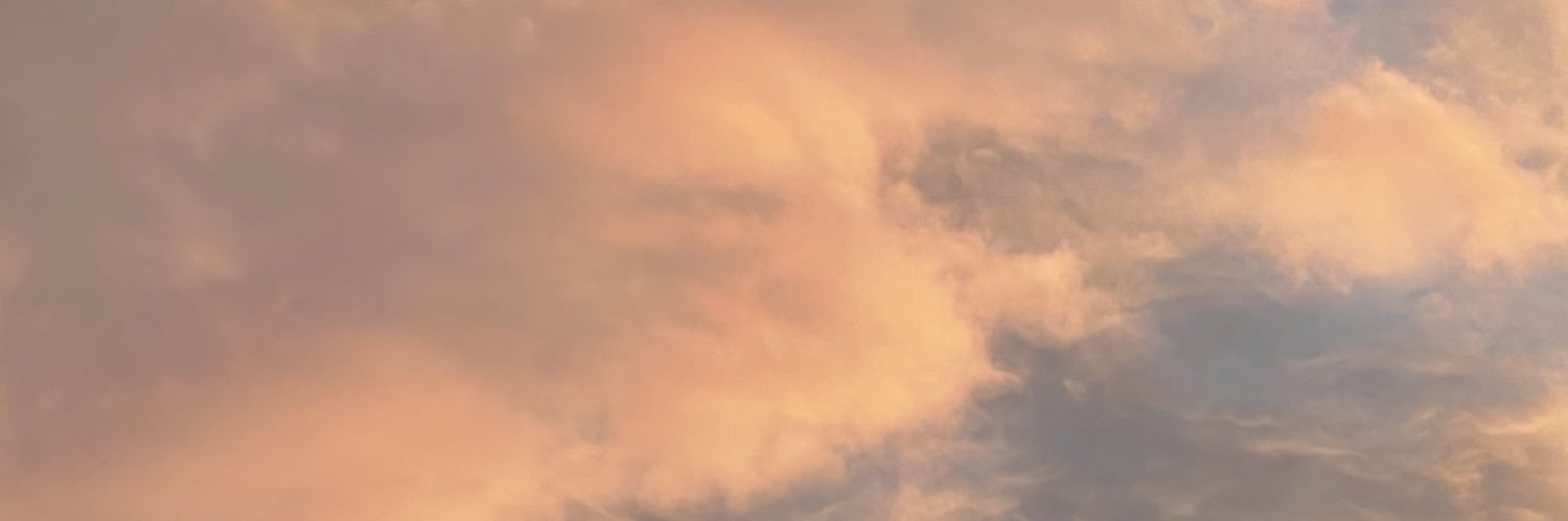 linneagyllbring's profile banner image