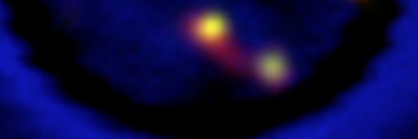 dibyenducellbio Profile Banner