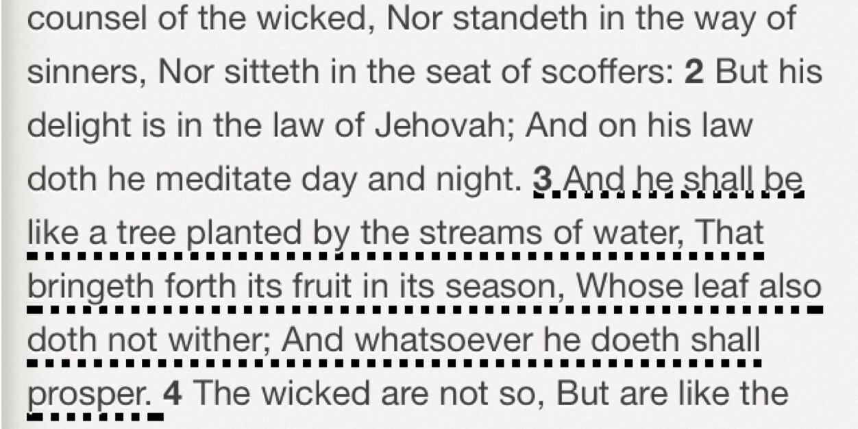 Morayo Moets Sola banner