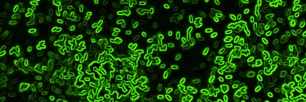 DrShawnL Profile Banner