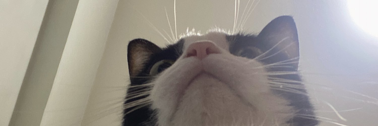 mirmured's profile banner image
