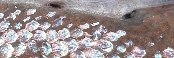 RealLysaTully Profile Banner