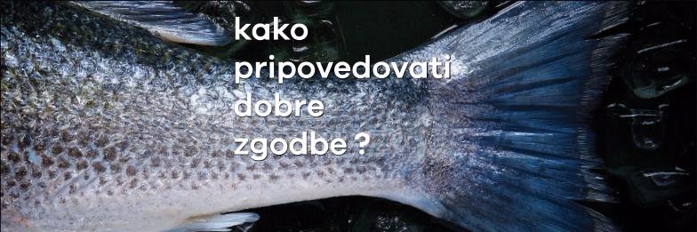 PUNKTcc's profile banner image
