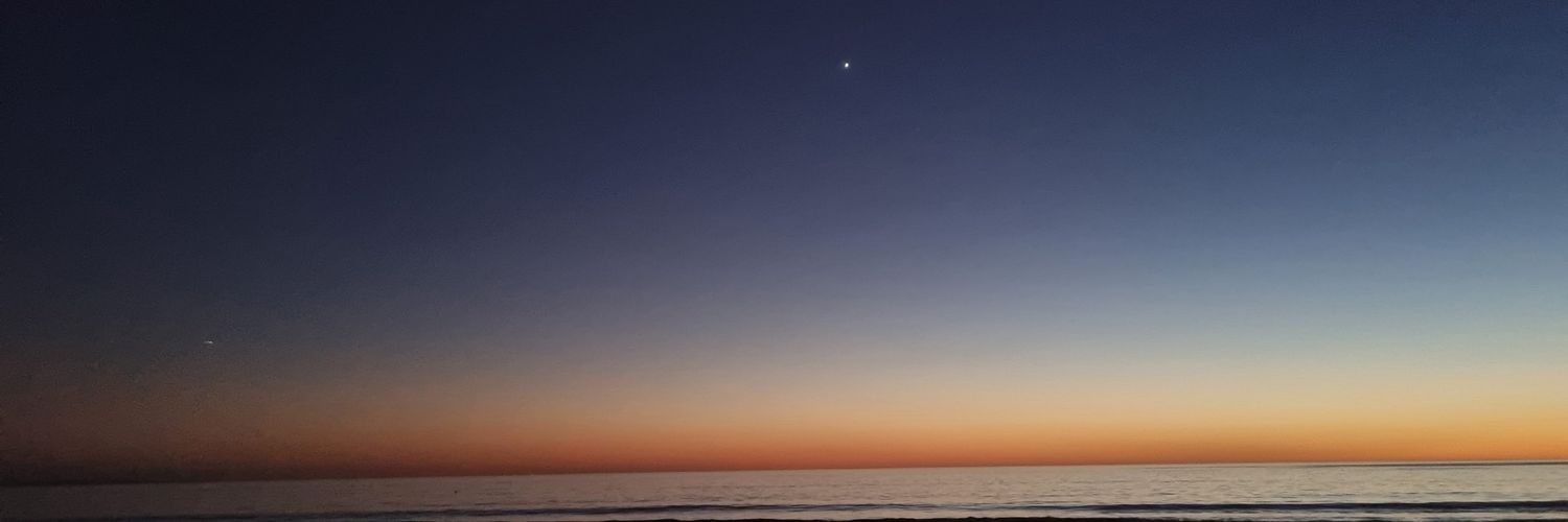 🌼maple🐰 banner