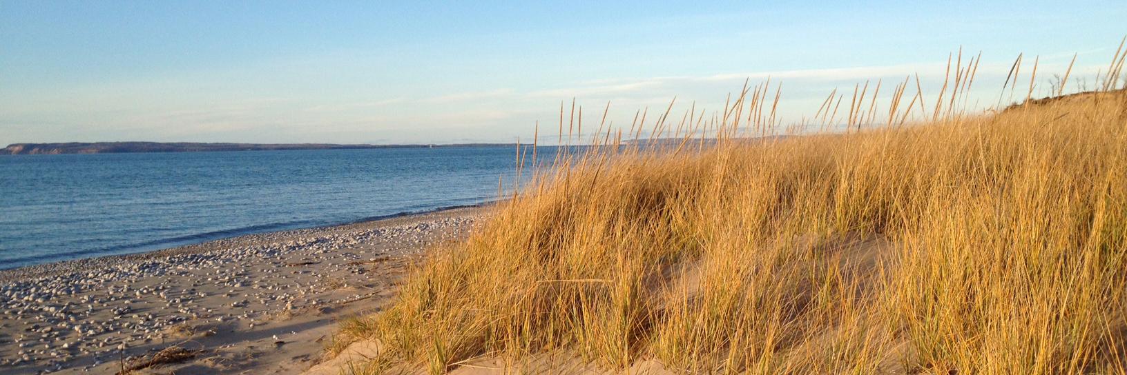 Heidi Fenton Tunison banner