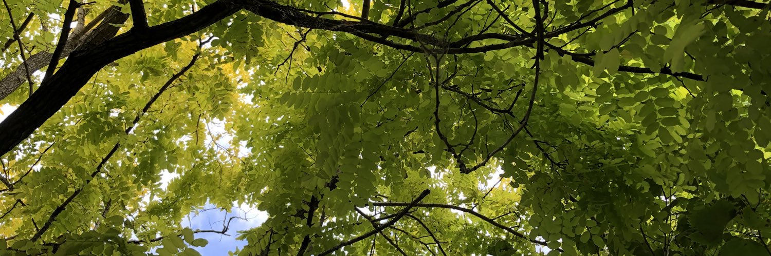 Margaret Foley banner