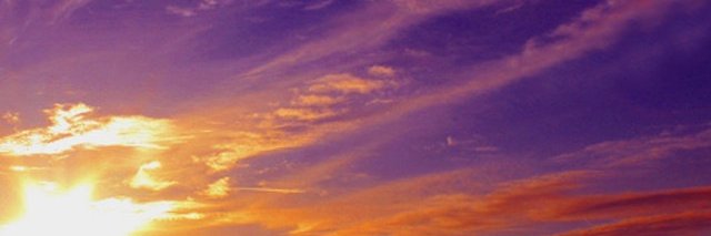 Terri Crabb banner
