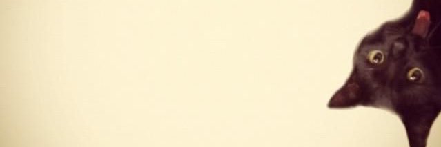 meeshyang's profile banner image