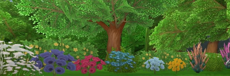 Miranda Silverstone banner