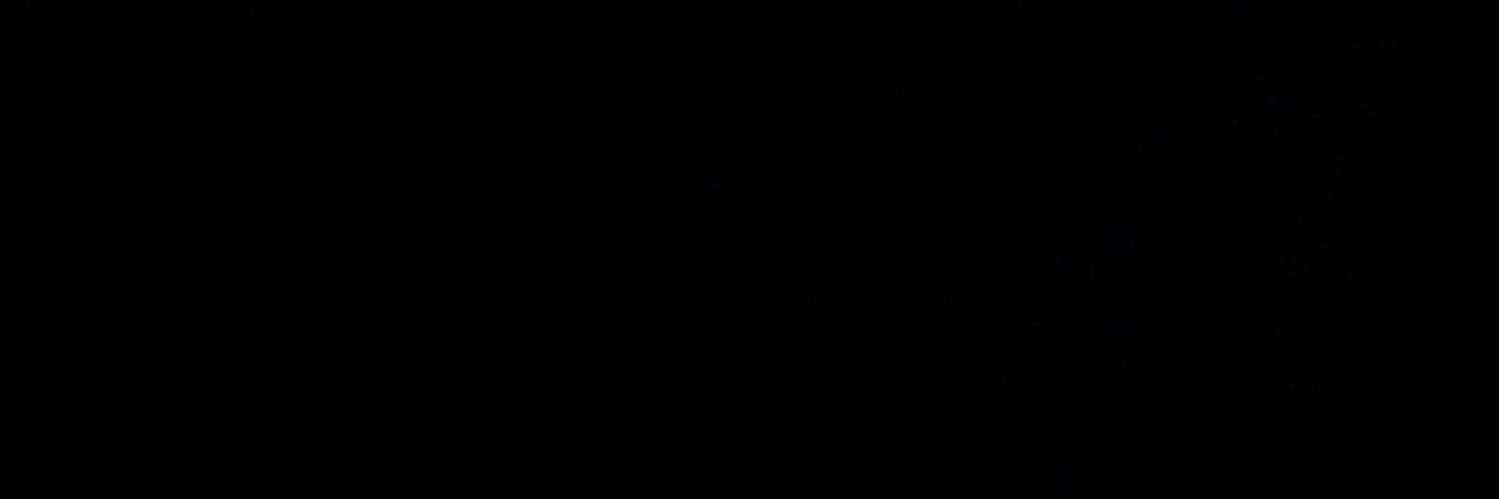 🩶 banner