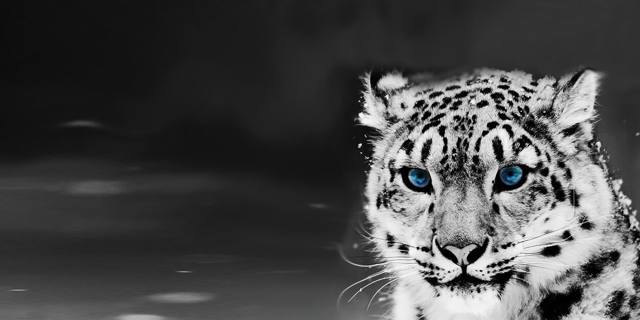 Chelslays_'s profile banner image