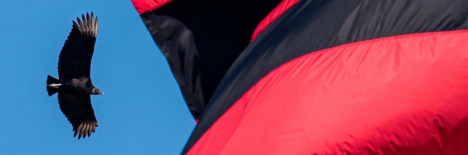 favelitismo's profile banner image