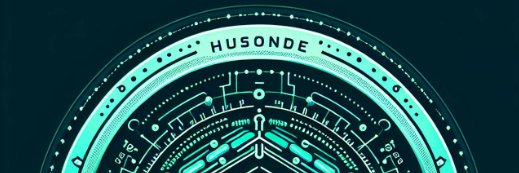HusoNode (❖,❖) banner