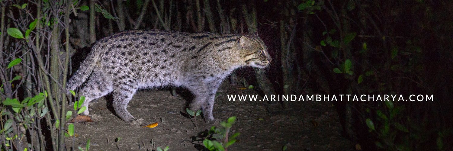 Arindam_Bh's profile banner image