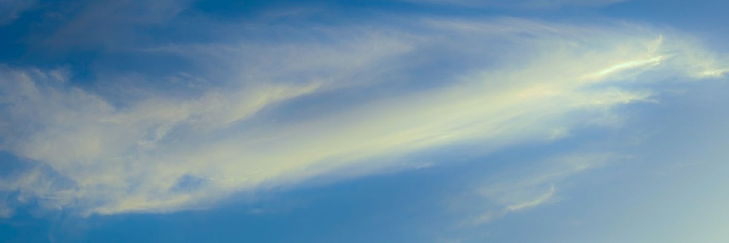leonardofc46's profile banner image