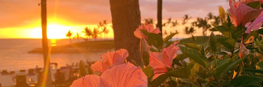ANDREINA ᥫ᭡'s banner