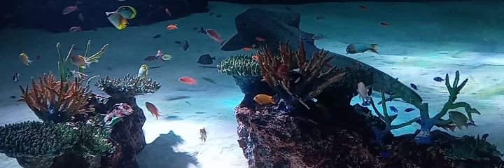 フロートFloat banner