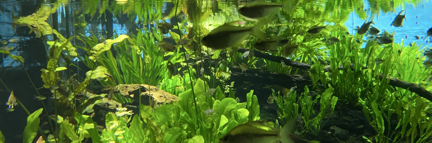 くらっち＠懐中電灯 banner