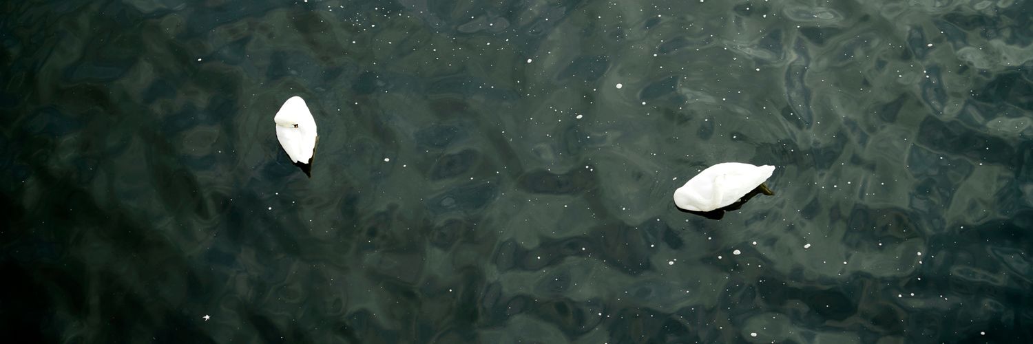 Perezscript's profile banner image