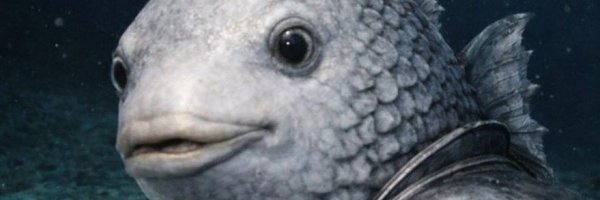 prinfo23 Profile Banner