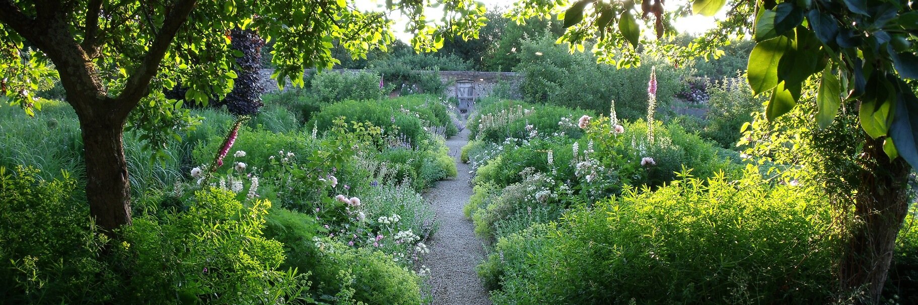 BenjaminWilliamPope banner