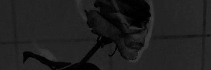 wesx0503's profile banner image