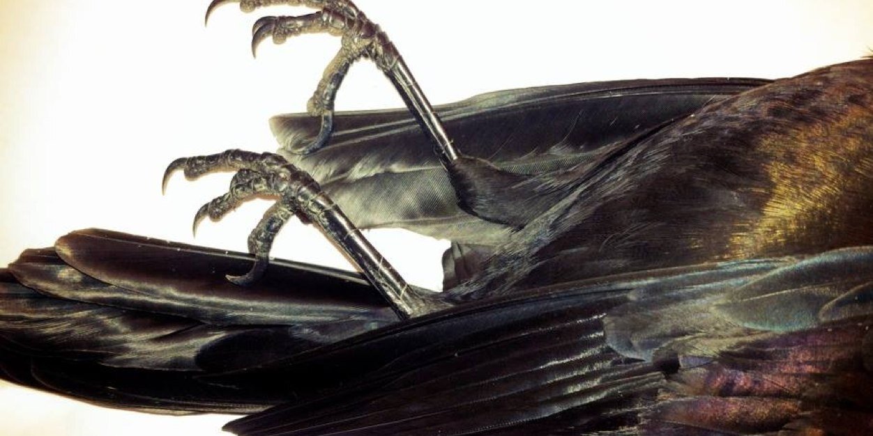 Sheet Ghost banner