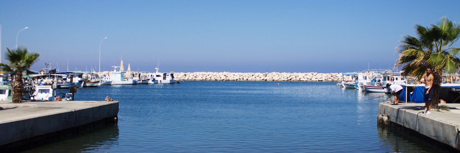 face your front banner