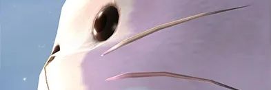 0514com banner