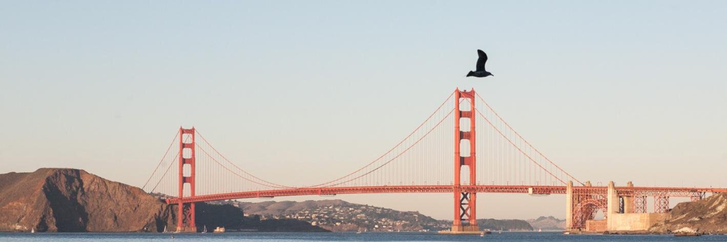 jerry_tian's profile banner image