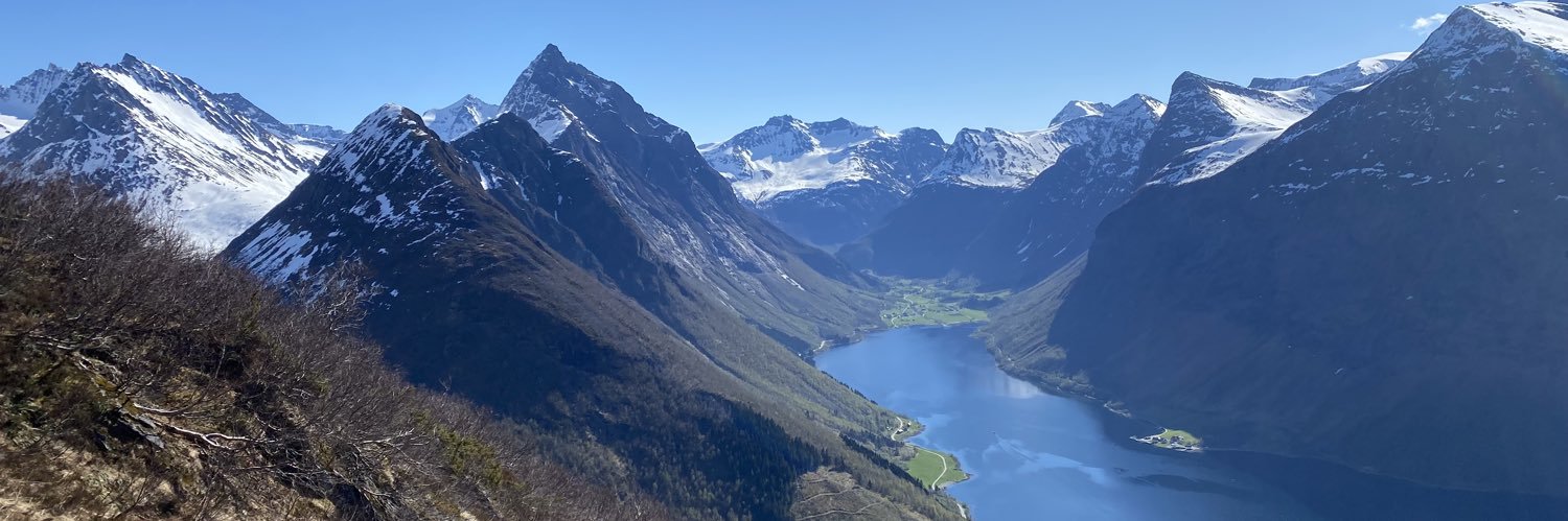 Bjørn Inge Furuli banner