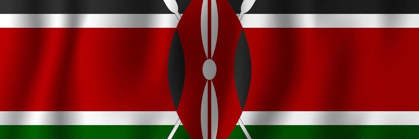 Public Investments and Assets Management-Kenya banner