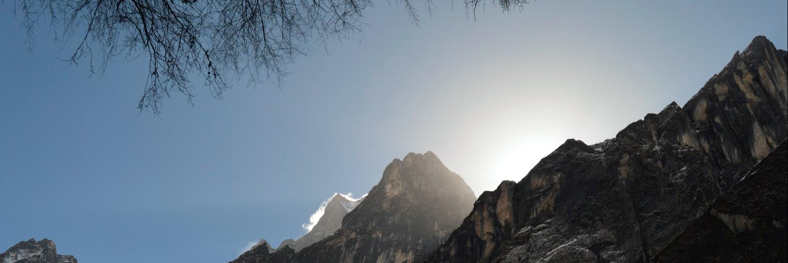 Pashmina Binwani banner