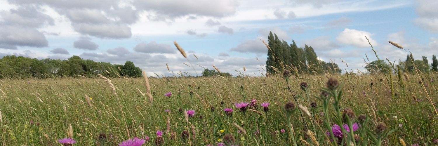 Sarah CL Knowles banner