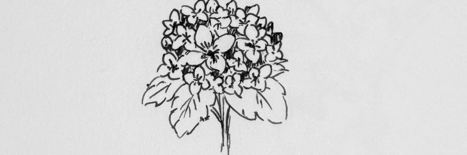 `offmu 🌙 ✦🦋 banner