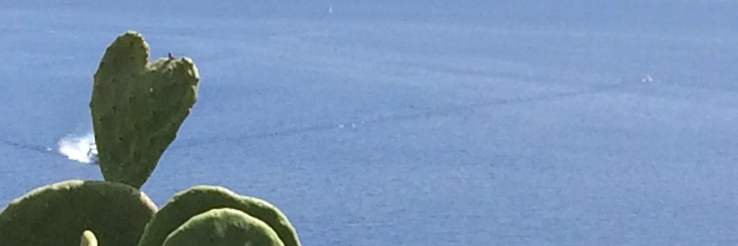 alisonscoop's profile banner image