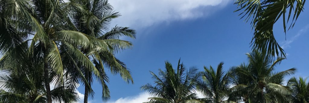 Flipadeee's profile banner image