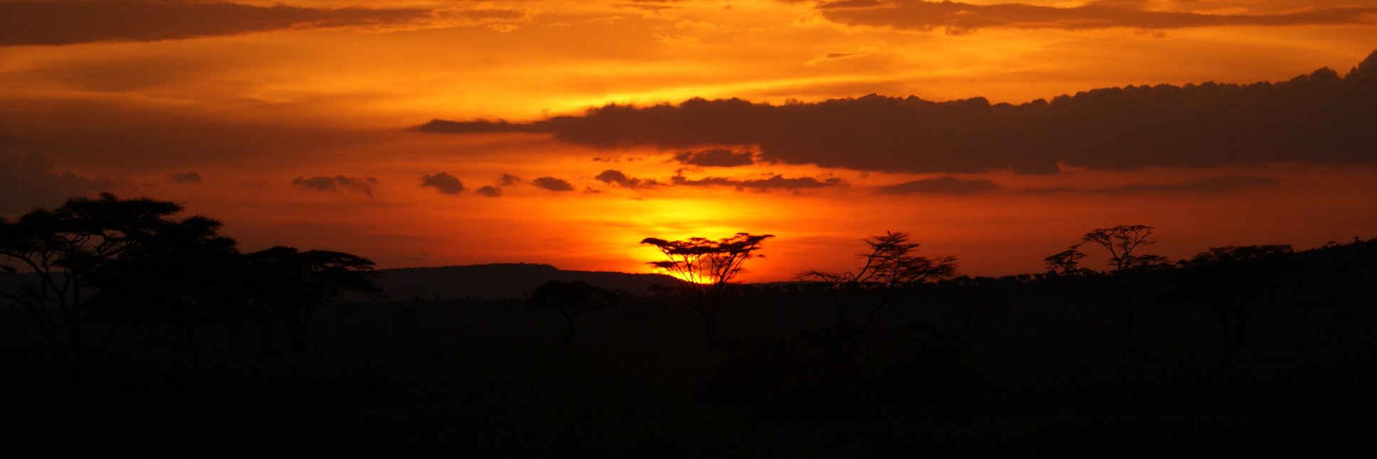 Extreme Expedition Safari Tours banner