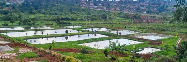 joshuaokonya Profile Banner