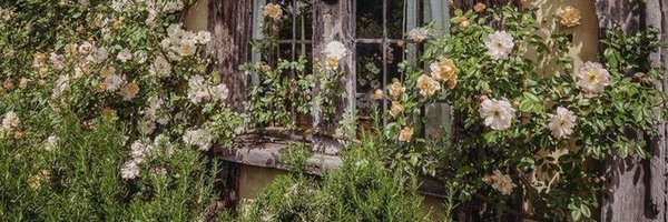 0fourzero6 Profile Banner