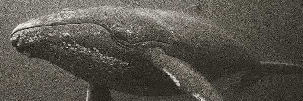 theidentity0525 Profile Banner