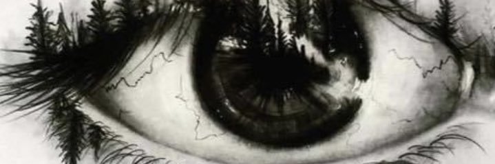 ButterflyL0v3's profile banner image