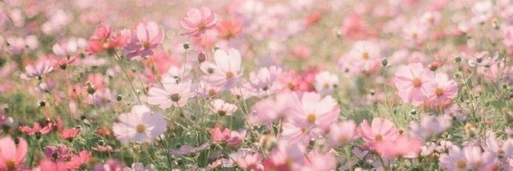 aaayuli_'s profile banner image